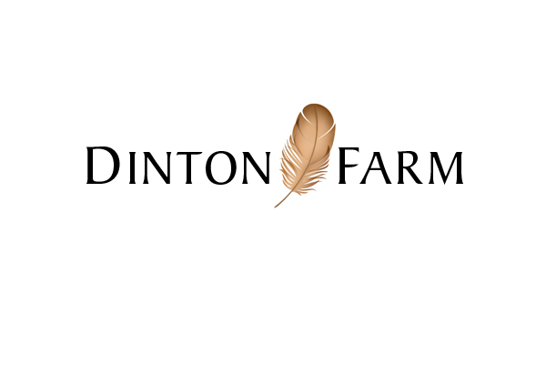 df_logo df_logo